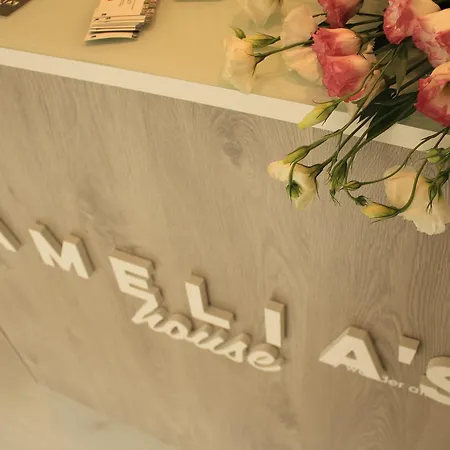 Hostel Amelia's House Braga