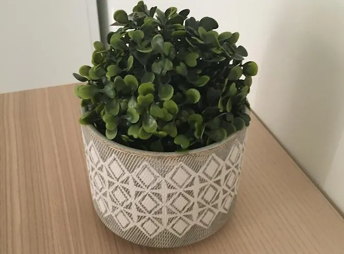 Vandrerhjem Amelia's House